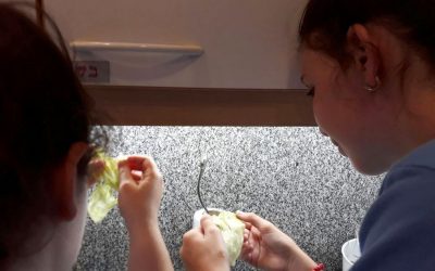 Proyecto de Bar y Bat Mitzvá curricular