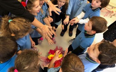 Lag baOmer en el jardín