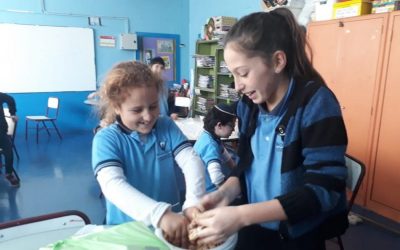 Talleres en la escuela primaria: primera experiencia