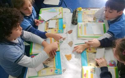 Observando y clasificando semillas