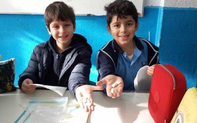 Cómo crecen las plantas…