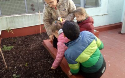 Tiempo de siembra…