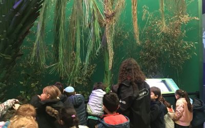 «BICHOS» en Tecnópolis