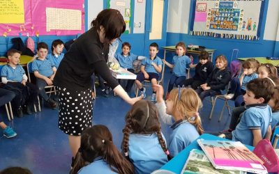 The House on the Roof