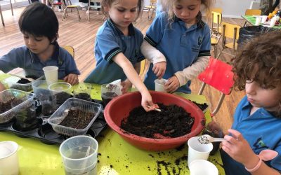 Voy a mandarle una carta al viento…