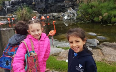 2° y 4° grado visitan Temaikén