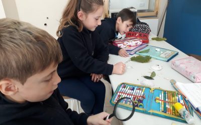 1° grado en el Laboratorio