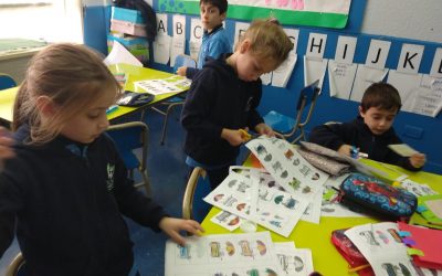 ¡Volvieron los talleres a elección!