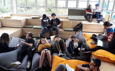 Investigar y comunicar Biología en equipo